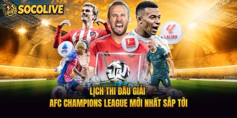 Lịch Thi Đấu Giải AFC Champions League Mới Nhất Sắp Tới