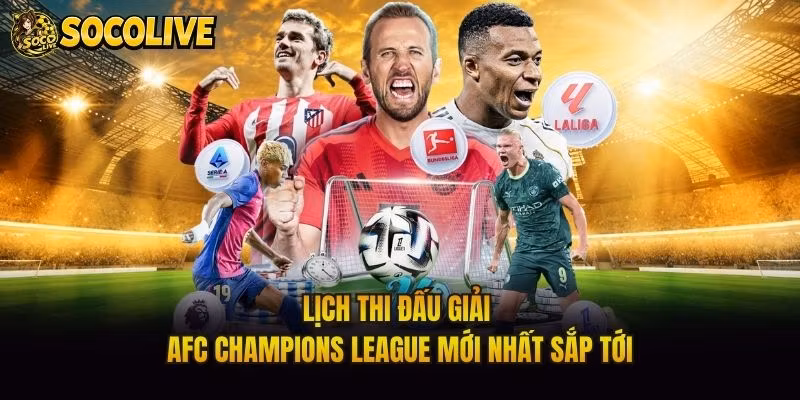 Lịch Thi Đấu Giải AFC Champions League Mới Nhất Sắp Tới