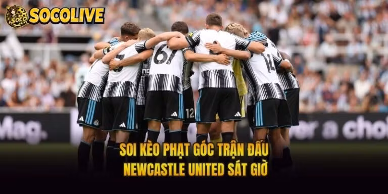 Soi Kèo Phạt Góc Trận Đấu Newcastle United Sát Giờ